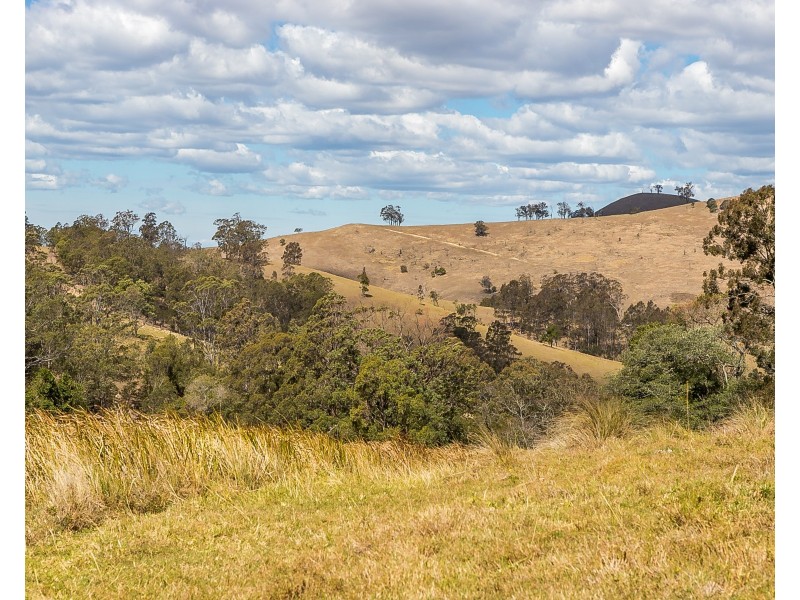 97 Osmonds Road, Dungog NSW 2420