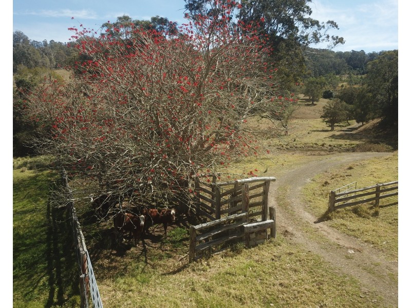 97 Osmonds Road, Dungog NSW 2420