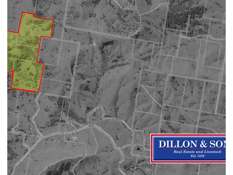 97 Osmonds Road, Dungog NSW 2420