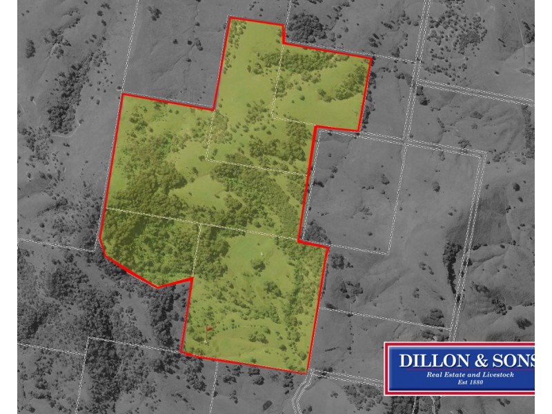 97 Osmonds Road, Dungog NSW 2420