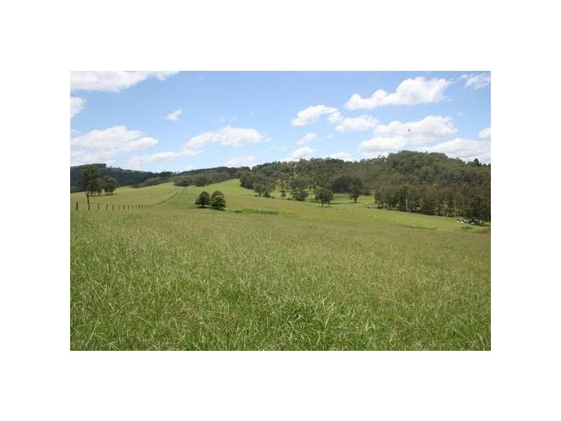 Wallarobba NSW 2420