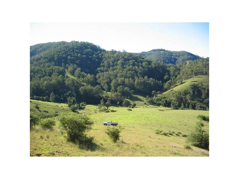 Mount Rivers NSW 2311