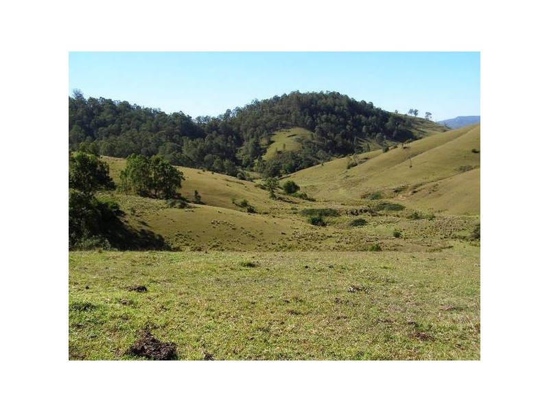 Mount Rivers NSW 2311