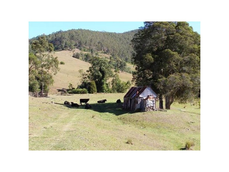 Mount Rivers NSW 2311