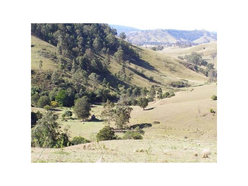 Mount Rivers NSW 2311