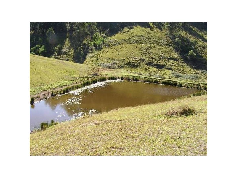 Mount Rivers NSW 2311