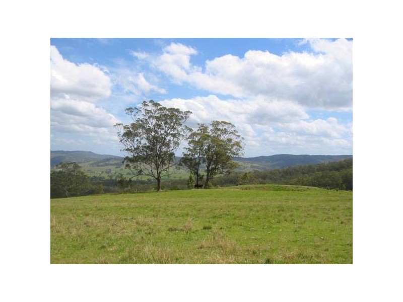 Wallarobba NSW 2420