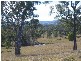 Dungog NSW 2420