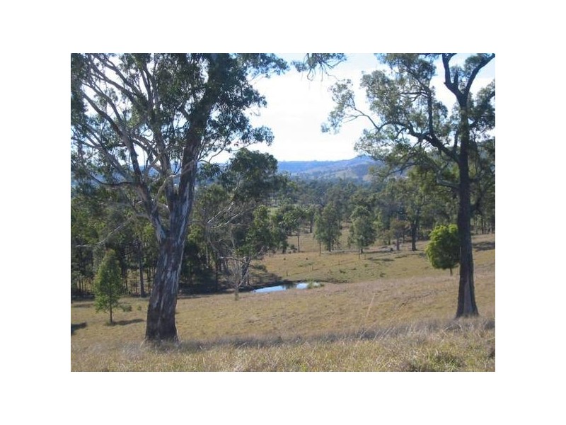 Dungog NSW 2420