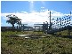 Dungog NSW 2420