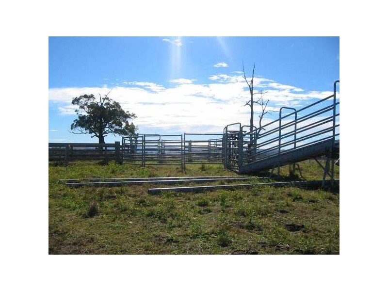 Dungog NSW 2420