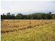 Main Creek NSW 2420