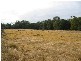 Main Creek NSW 2420