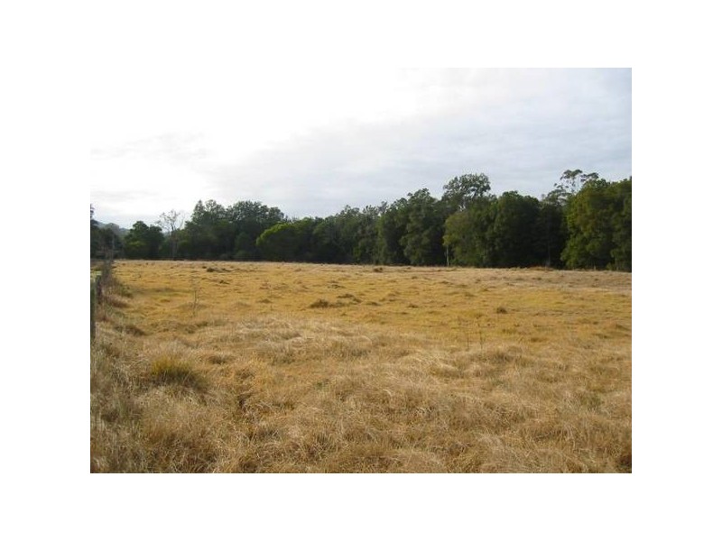 Main Creek NSW 2420