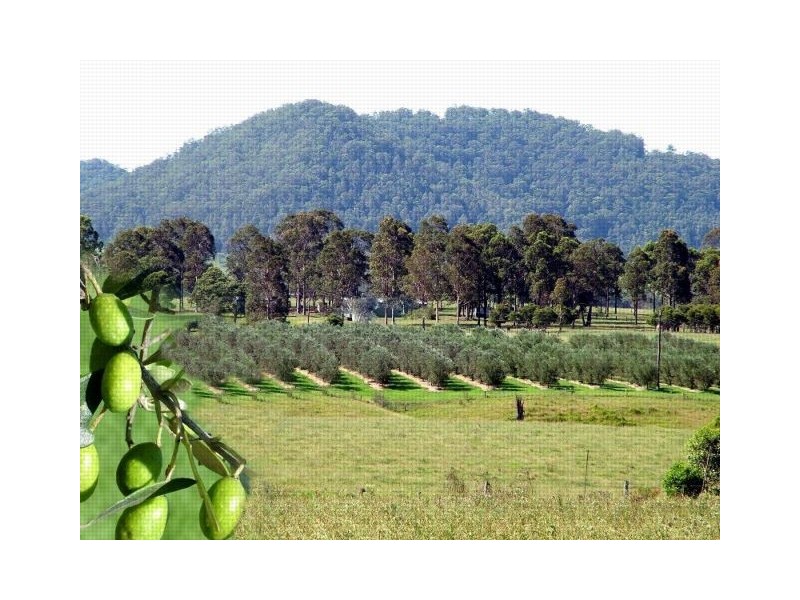 Clarence Town NSW 2321