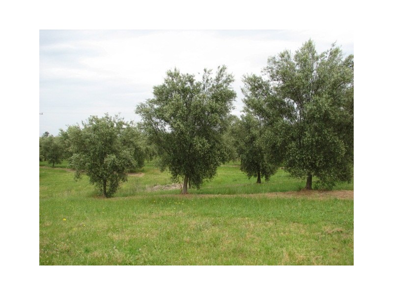 Clarence Town NSW 2321