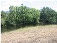 Mount Rivers NSW 2311