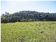 Mount Rivers NSW 2311