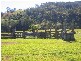 Mount Rivers NSW 2311