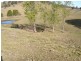 Dungog NSW 2420