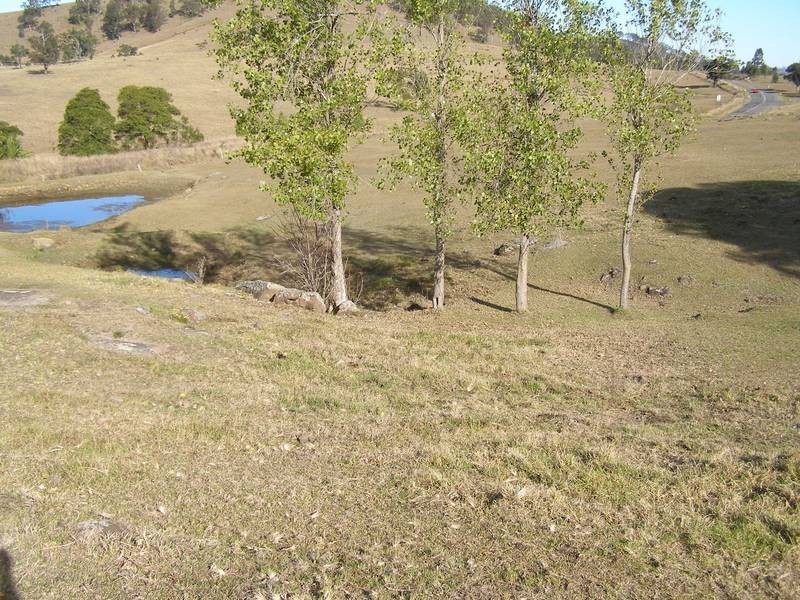 Dungog NSW 2420