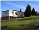 Dungog NSW 2420
