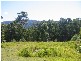 Main Creek NSW 2420
