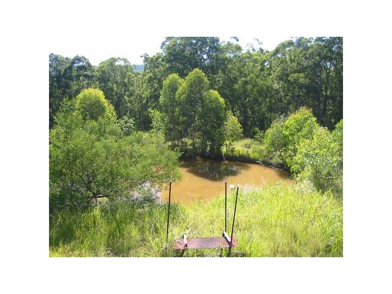 Main Creek NSW 2420
