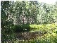 Main Creek NSW 2420