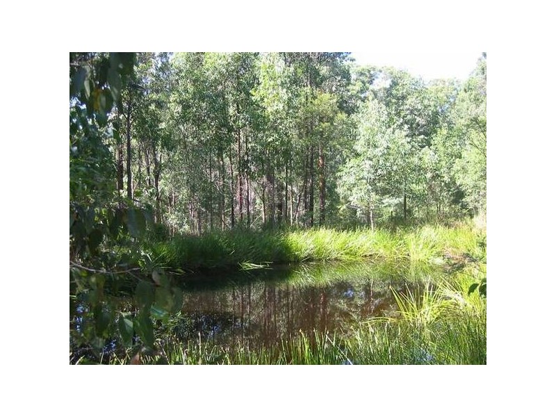 Main Creek NSW 2420