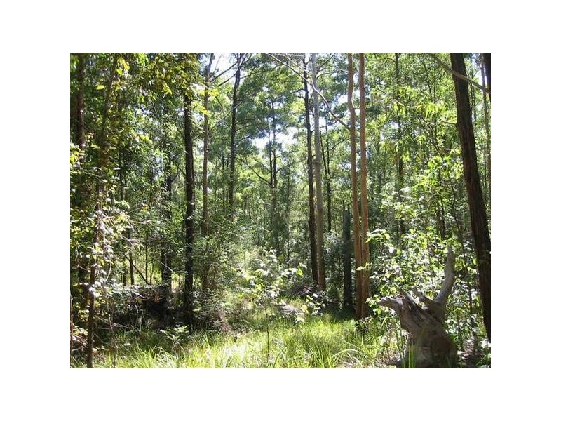 Main Creek NSW 2420