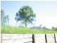Dungog NSW 2420