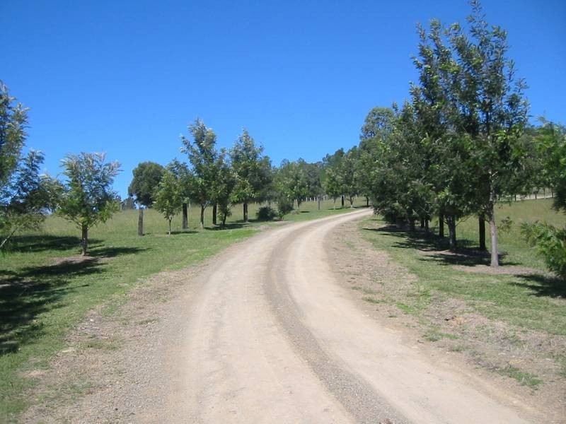 Dungog NSW 2420