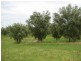 Clarence Town NSW 2321