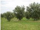 Clarence Town NSW 2321