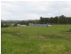 Clarence Town NSW 2321
