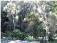 Dungog NSW 2420