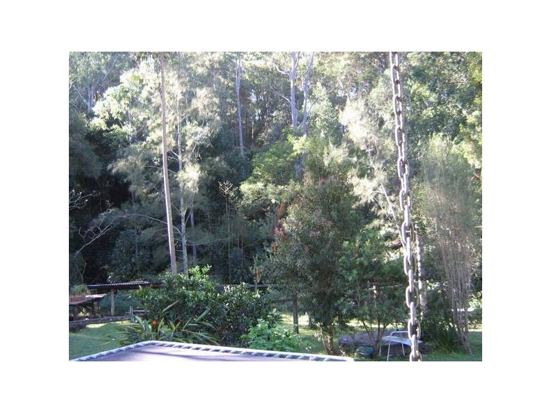 Dungog NSW 2420