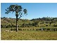Lewinsbrook Road, East Gresford NSW 2311