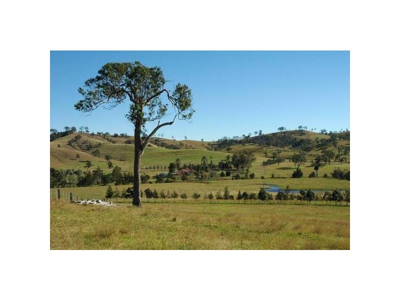 Lewinsbrook Road, East Gresford NSW 2311