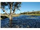 Lewinsbrook Road, East Gresford NSW 2311