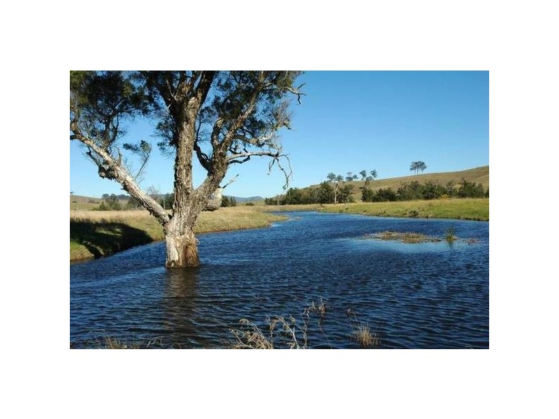 Lewinsbrook Road, East Gresford NSW 2311