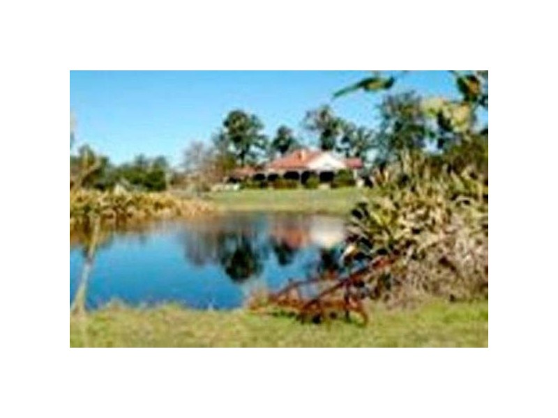 Lewinsbrook Road, East Gresford NSW 2311