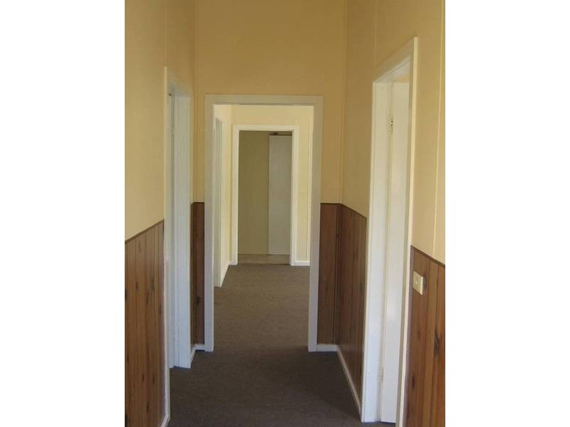 Dungog NSW 2420
