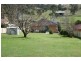 41 Abelard Street, Dungog NSW 2420