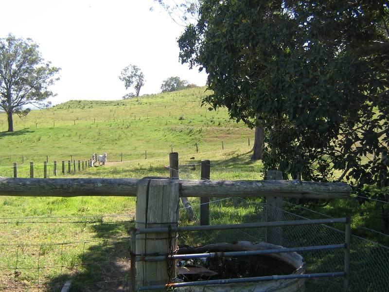 Wallarobba NSW 2420