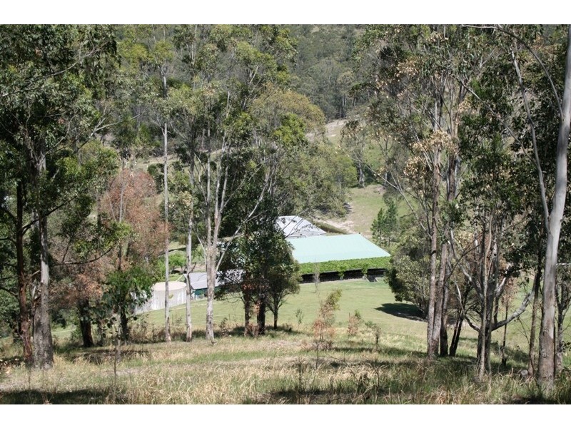 Dungog NSW 2420