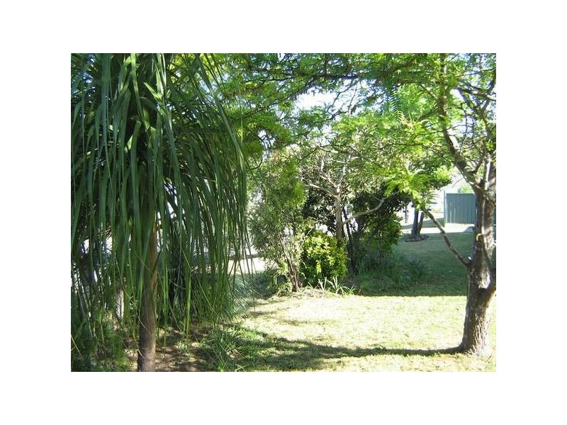 Dungog NSW 2420