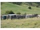 Dungog NSW 2420