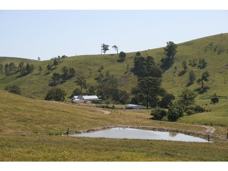 Dungog NSW 2420